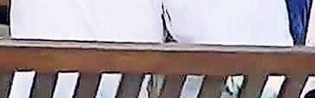 球速体育链接-真吃瓜？太阳报记者拍到阿里在酒吧亲吻瓜帅闺女