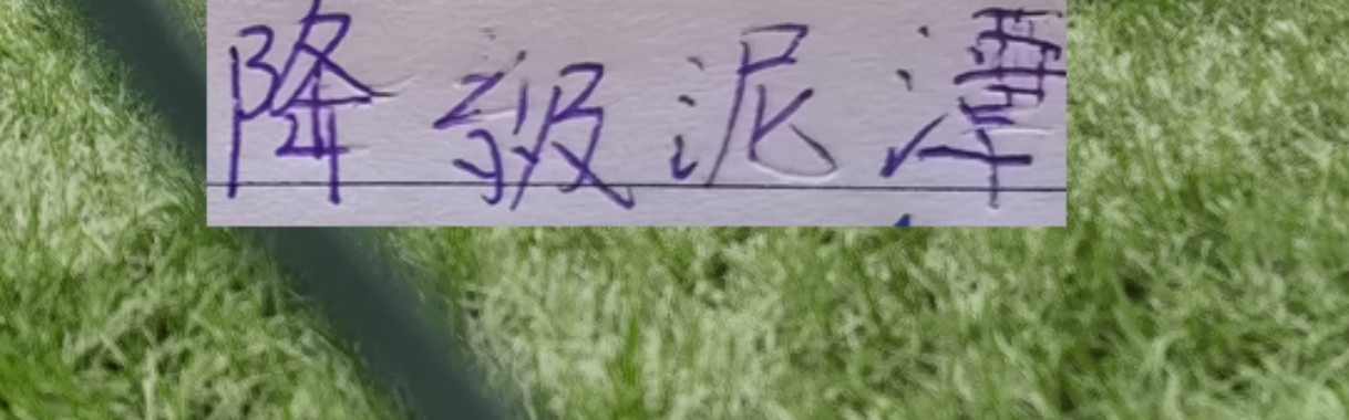 球速体育链接-申花能否摆脱降级泥潭！ 前5轮！成绩很重要