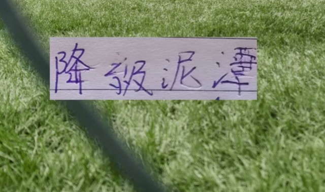 球速体育链接-申花能否摆脱降级泥潭！ 前5轮！成绩很重要